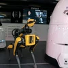 [Video] Mỹ thử nghiệm chó robot chống tội phạm tại thành phố New York
