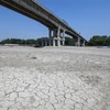 Lòng sông khô cạn do hạn hán, tại Boretto, đông bắc Parma, Italy, ngày 15/6/2022. (Ảnh: AFP/TTXVN) 