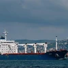 Tàu chở ngũ cốc di chuyển dọc Eo biển Bosphorus tại Istanbul, Thổ Nhĩ Kỳ, ngày 3/8/2022. (Ảnh: AFP/TTXVN)