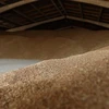 Kho chứa lúa mì tại Odessa, Ukraine ngày 14/6/2022. (Ảnh: AFP/TTXVN)