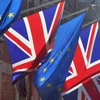 2.500 quy định của EU sẽ tiếp tục có hiệu lực tại Anh sau năm 2023. (Nguồn: Shutterstock)