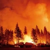Cháy rừng ở Foresthill, bang California, Mỹ. (Ảnh: AFP/TTXVN)