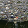 Rác thải nhựa tràn ngập tại hồ Suchitlan ở El Salvador ngày 9/9/2022. (Ảnh: AFP/TTXVN) 