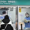 Nhân viên y tế lấy mẫu xét nghiệm COVID-19 cho hành khách tại sân bay Incheon, Hàn Quốc, ngày 3/1/2023. (Ảnh: AFP/TTXVN)