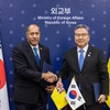 Ngoại trưởng Hàn Quốc Park Jin và Thủ tướng kiêm Bộ trưởng ngoại giao Niue, ông Dalton Tagelagi. (Nguồn: Yonhap)