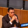 Đại sứ Đặng Hoàng Giang, Trưởng Phái đoàn thường trực Việt Nam tại Liên hợp quốc. (Ảnh: Quang Huy/TTXVN) 