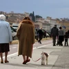 Dân số tại Italy đang ngày càng già đi. (Nguồn: Openaccessgovernment)