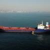Tàu chở ngũ cốc di chuyển dọc Eo biển Bosphorus ở Istanbul, Thổ Nhĩ Kỳ. (Ảnh: AFP/TTXVN)