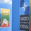 40 nguyên thủ quốc gia và người đứng đầu chính phủ thuộc 48 phái đoàn tham dự Hội nghị thượng đỉnh NATO. (Nguồn: AP)