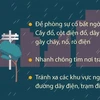 [Infographics] Những lưu ý sử dụng điện an toàn trong ngày mưa, ngập