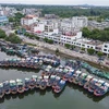 Tàu thuyền neo đậu tránh bão Talim tại tỉnh Hải Nam, Trung Quốc, ngày 17/7/2023. (Ảnh: AFP/TTXVN)