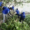 Các tình nguyện viên tham gia dọn dẹp kênh rạch tại lễ ra quân. (Ảnh: Hồng Giang/TTXVN)