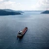 Tàu chở ngũ cốc di chuyển dọc Eo biển Bosphorus ngày 3/8/2022. (Ảnh: AFP/TTXVN)