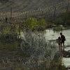 Hàng rào dây thép gai xung quanh sông Rio Grande. (Nguồn: AP)