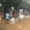 Mưa lớn trong nhiều ngày qua gây ra hiện tượng ngập lụt khu vực ven sông Đồng Nai thuộc địa bàn xã Phú Vinh, huyện Định Quán, tỉnh Đồng Nai. (Ảnh: TTXVN phát)