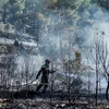 Lính cứu hỏa nỗ lực kiểm soát cháy rừng tại Fuente de la Reina, Tây Ban Nha, ngày 29/3/2023. (Ảnh: AFP/TTXVN)