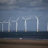 Trang trại gió ngoài khơi bờ biển Redcar, Anh. (Ảnh: AFP/TTXVN)