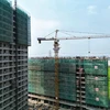 ​Tỉnh Đồng Nai đang triển khai nhiều dự án nhà ở xã hội với diện tích hơn 50ha, quy mô hơn 8.000 căn hộ. (Ảnh minh họa: Tuấn Anh/TTXVN)