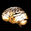 Não bị “lão hóa” là tình trạng các tế bào não “bị bệnh” hoặc “già hóa” hiện diện với số lượng lớn và tiết ra các chất có hại ngăn cản hoạt động bình thường và phục hồi của các tế bào não xung quanh. (Nguồn: AFP/GettyImages)