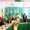 Toàn cảnh phiên họp bất thường các nhà lãnh đạo Cộng đồng Kinh tế Tây Phi (ECOWAS) về tình hình Niger, tại Abuja (Nigeria), ngày 10/8/2023. (Ảnh: AFP/TTXVN)