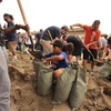 Người dân chuẩn bị bao cát trước khi bão Hilary đổ bộ, tại Indio, California, Mỹ, ngày 19/8/2023. (Ảnh: AFP/TTXVN)