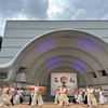 Đội múa Nakama Yosakoi trình diễn tại sân khấu công viên Yoyogi. (Ảnh: Nguyễn Tuyến/TTXVN)