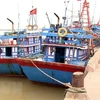 Tàu thuyền neo đậu tại khu vực Cửa Hội, thị xã Cửa Lò, Nghệ An. (Ảnh: Tá Chuyên/TTXVN)