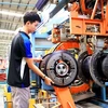 Sản xuất lốp xe ôtô tại Công ty Trách nhiệm Hữu hạn Sailun Việt Nam, xã Phước Đông, huyện Gò Dầu, tỉnh Tây Ninh. (Ảnh: Hồng Đạt/TTXVN)