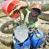 Người dân trên đảo lấy nước ngọt từ giếng Xó La, một giếng ngước ngọt cổ nổi tiếng ở thôn Đông, xã An Vĩnh, huyện đảo Lý Sơn về dùng cho sinh hoạt. (Ảnh: Minh Đức/TTXVN)