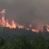 Khói lửa bốc lên từ đám cháy rừng tại làng Lefkimmi, gần Alexandroupoli, miền Bắc Hy Lạp, ngày 2/9/2023. (Ảnh: AFP/TTXVN)