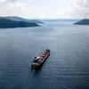 Tàu chở ngũ cốc di chuyển dọc Eo biển Bosphorus (Thổ Nhĩ Kỳ) hướng tới Tripoli, Libya. (Ảnh: AFP/TTXVN)