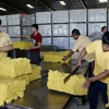Công nhân Công ty cao su Việt Lào phân mủ cao su để cân trước khi đóng thành phẩm trước khi xuất khẩu. (Ảnh: Phạm Kiên/Vietnam+)