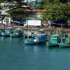 Tàu cá neo đậu tại khu vực cảng An Thới, thành phố Phú Quốc, tỉnh Kiên Giang. (Ảnh: Hồng Đạt/TTXVN)