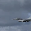 Máy bay chiến đấu F-16 của Không quân Mỹ. (Ảnh: AFP/TTXVN)