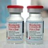 Vaccine ngừa COVID-19 của Moderna. (Ảnh: AFP/TTXVN)