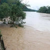 Mực nước sông Lam dâng cao kéo theo nhiều nguy cơ ảnh hưởng đến vùng hạ du các huyện Anh Sơn, Thanh Chương, Nam Đàn. (Ảnh: Nguyễn Văn Nhật/TTXVN)