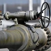 Tổng thống Nga Vladimir Putin đã trao đổi với người đứng đầu Tập đoàn khí đốt Gazprom Alexei Miller về việc tiếp tục cung cấp khí đốt cho Moldova. (Ảnh: AFP/TTXVN)