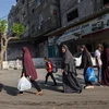 Người dân Palestine sơ tán tới các khu vực an toàn sau các cuộc không kích của Israel, ngày 13/10/2023. (Ảnh: AFP/TTXVN)