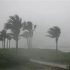 Mưa lớn kèm gió to tại biển Mỹ Khê, quận Sơn Trà, thành phố Đà Nẵng. (Ảnh: Văn Dũng/TTXVN)