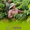 Nestlé Việt Nam dẫn đầu trong Top 100 Doanh Nghiệp Bền vững năm 2023