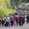 Đoàn người di cư di chuyển từ Tapachula, bang Chiapas (Mexico) hướng tới biên giới với Mỹ ngày 24/12/2023. (Ảnh: AFP/TTXVN)