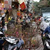 Các chợ dân sinh ở Hà Nội tấp nập từ sớm 29 Tết