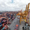 Cảng biển-logistics là một trong ba trụ cột kinh tế của Hải Phòng. (Ảnh: Tuấn Anh/TTXVN)