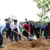 Chủ tịch nước dự Lễ phát động Tết trồng cây “Đời đời nhớ ơn Bác Hồ”
