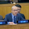 Tham tán Công sứ Nguyễn Hoàng Nguyên phát biểu tại cuộc họp. (Ảnh: Quang Huy/TTXVN)