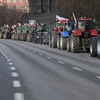 Nông dân Ba Lan tuần hành yêu cầu bãi bỏ các lợi ích mà Liên minh châu Âu (EU) dành cho tài xế xe tải từ Ukraine, tại Gdansk, ngày 20/2/2024. (Ảnh: PAP/TTXVN)