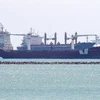Các tàu container di chuyển gần kênh đào Suez trên biển Đỏ. (Ảnh: AFP/TTXVN)
