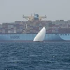 Tàu container của hãng Maersk di chuyển gần đảo Sir Abu Nuair hướng tới Dubai, Các Tiểu vương quốc Arab thống nhất. (Ảnh: AFP/TTXVN)