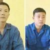 Đối tượng Nguyễn Mậu Văn (trái) và Huỳnh Chí Linh bị bắt tạm giam. (Ảnh: TTXVN phát)