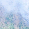 Điện Biên huy động hơn 600 người chữa cháy rừng tại huyện Tủa Chùa. (Ảnh: Kiểm lâm cung cấp)